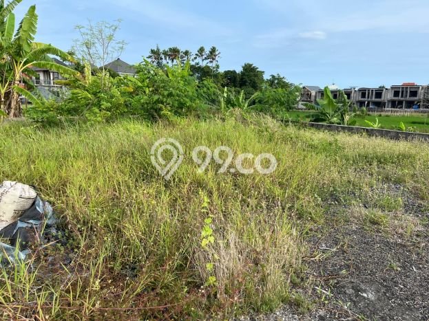 Tanah Dijual Lokasi Denpasar Barat Denpasar SHM Tanah Dijual Lokasi Denpasar Barat Denpasar SHM