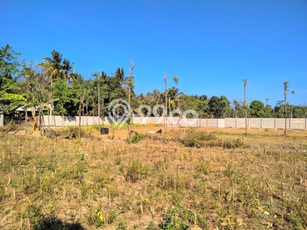 Tanah Dijual Area Strategis di Kuta Lombok Tengah 30606m2 Tanah Dijual Area Strategis di Kuta Lombok Tengah 30606m2