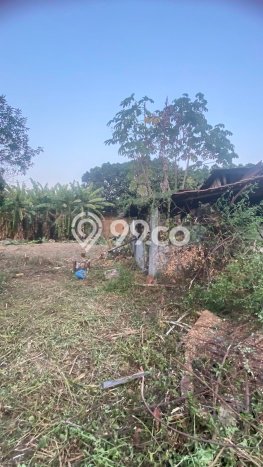 Tanah di Pasar Minggu, Jakarta Selatan Luas 3115m2 Dijual Segera Tanah di Pasar Minggu, Jakarta Selatan Luas 3115m2 Dijual Segera