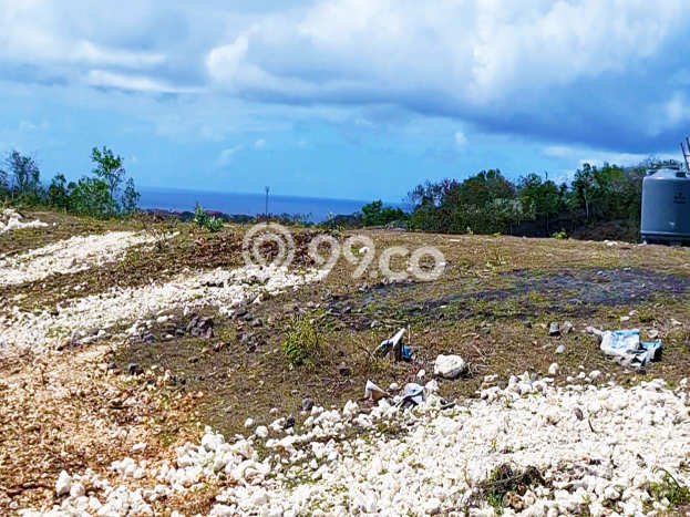 LOKASI STRATEGIS! Tanah Kawasan , Luas 5500m2m², Area Asri, Cocok untuk Investasi LOKASI STRATEGIS! Tanah Kawasan , Luas 5500m2m², Area Asri, Cocok untuk Investasi