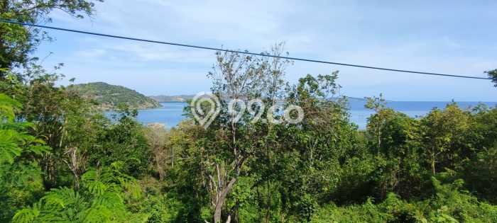 Lahan Dijual Lokasi Strategis di Manggarai Barat dengan Luas 16600m2 Lahan Dijual Lokasi Strategis di Manggarai Barat dengan Luas 16600m2