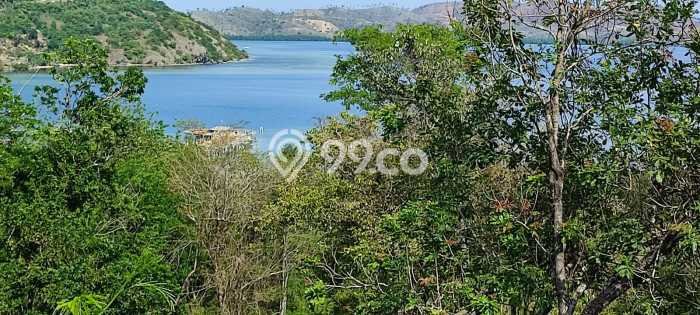 Lahan Dijual Lokasi Strategis di Manggarai Barat dengan Luas 16600m2 Lahan Dijual Lokasi Strategis di Manggarai Barat dengan Luas 16600m2