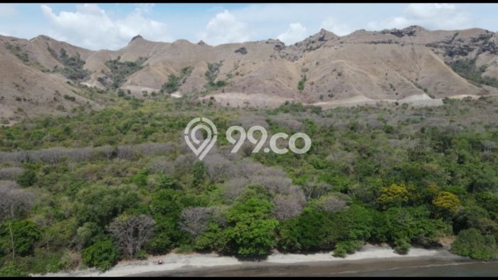 Tanah Kavling Dijual di Labuan Bajo, Manggarai Barat dengan Luas Tanah 55000m2 Tanah Kavling Dijual di Labuan Bajo, Manggarai Barat dengan Luas Tanah 55000m2