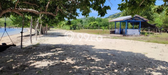 Tanah Dijual di Manggarai Barat Seluas 140000m2 Strategis Tanah Dijual di Manggarai Barat Seluas 140000m2 Strategis