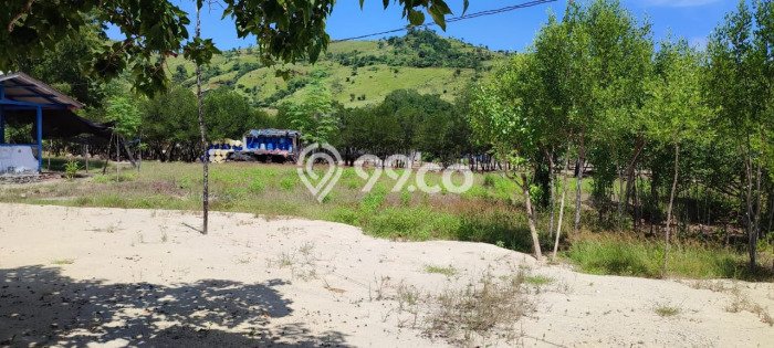 Tanah Dijual di Manggarai Barat Seluas 140000m2 Strategis Tanah Dijual di Manggarai Barat Seluas 140000m2 Strategis