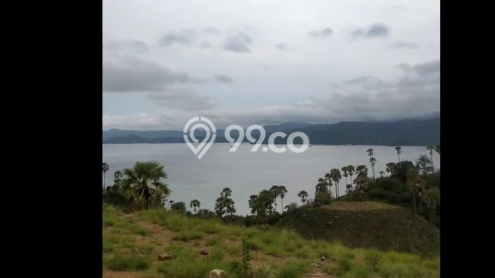 Tanah Dijual di Manggarai Barat Seluas 5185m2 Strategis Tanah Dijual di Manggarai Barat Seluas 5185m2 Strategis