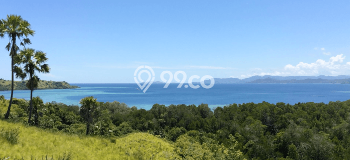 Tanah Dijual di Manggarai Barat Seluas 3700m2 Strategis Tanah Dijual di Manggarai Barat Seluas 3700m2 Strategis