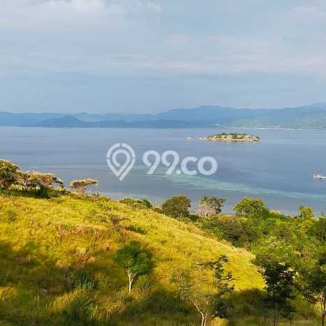 Tanah Dijual Lokasi Strategis di Manggarai Barat dengan Luas 30000m2 Tanah Dijual Lokasi Strategis di Manggarai Barat dengan Luas 30000m2
