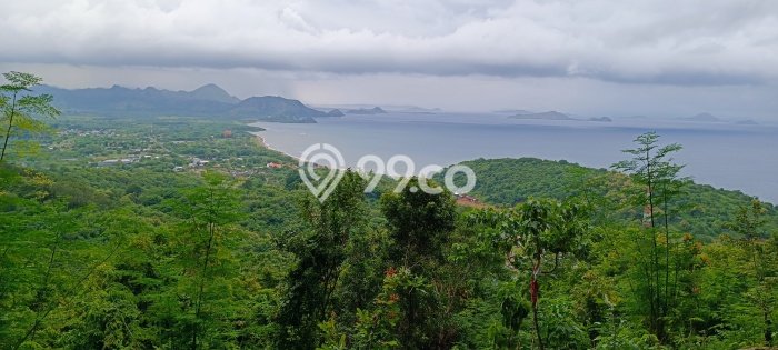 Kavling Tanah untuk Dijual di Labuan Bajo, Manggarai Barat, Luas 3800m2 Kavling Tanah untuk Dijual di Labuan Bajo, Manggarai Barat, Luas 3800m2