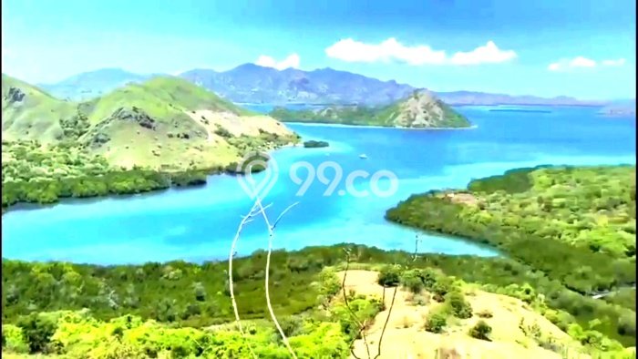 Tanah Siap Bangun Dijual di Manggarai Barat Punya Luas 35000m2 Tanah Siap Bangun Dijual di Manggarai Barat Punya Luas 35000m2
