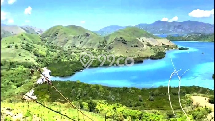 Tanah Siap Bangun Dijual di Manggarai Barat Punya Luas 35000m2 Tanah Siap Bangun Dijual di Manggarai Barat Punya Luas 35000m2