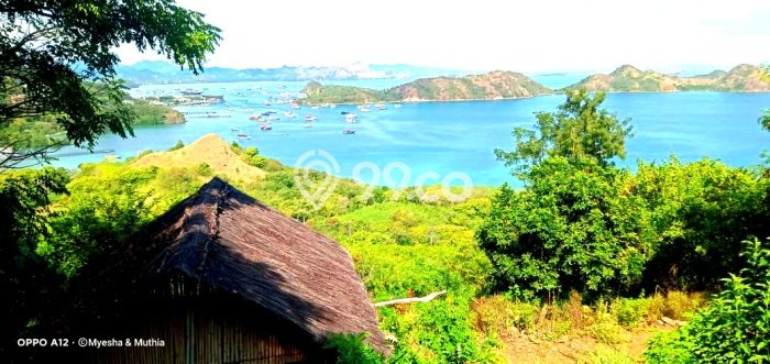Tanah Investasi Dijual di Manggarai Barat Punya Luas 3126m2 Tanah Investasi Dijual di Manggarai Barat Punya Luas 3126m2