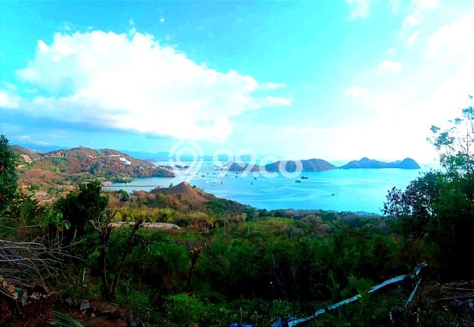 Tanah Investasi Dijual di Manggarai Barat Punya Luas 3126m2 Tanah Investasi Dijual di Manggarai Barat Punya Luas 3126m2