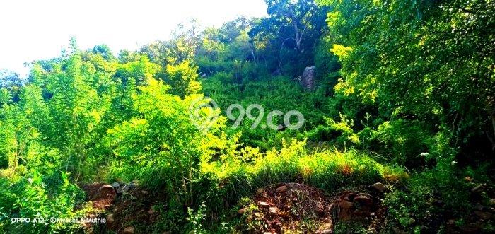 Tanah Investasi Dijual di Manggarai Barat Punya Luas 3126m2 Tanah Investasi Dijual di Manggarai Barat Punya Luas 3126m2