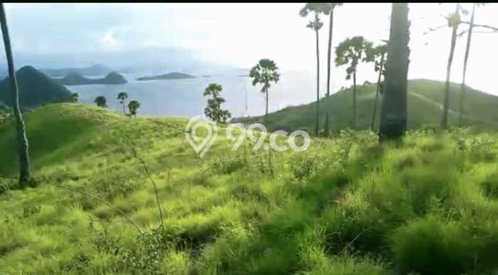 Tanah Dijual Area Strategis di Labuan Bajo Manggarai Barat 20000m2 Tanah Dijual Area Strategis di Labuan Bajo Manggarai Barat 20000m2