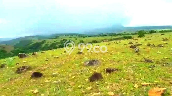 Tanah Dijual di Manggarai Barat Seluas 30000m2 Strategis Tanah Dijual di Manggarai Barat Seluas 30000m2 Strategis