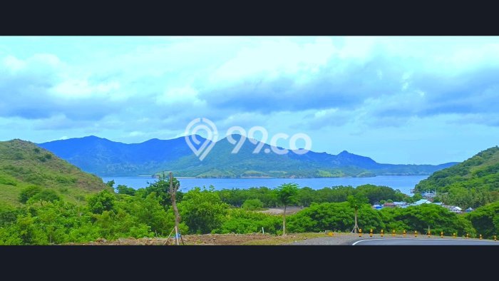 Tanah Dijual Area Strategis di Labuan Bajo Manggarai Barat 16000m2 Tanah Dijual Area Strategis di Labuan Bajo Manggarai Barat 16000m2