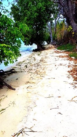 Tanah Siap Bangun Dijual di Manggarai Barat Punya Luas 400000m2 Tanah Siap Bangun Dijual di Manggarai Barat Punya Luas 400000m2