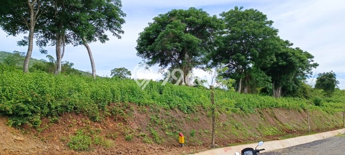 Untuk Dijual Tanah 28000m2 di Labuan Bajo, Manggarai Barat Untuk Dijual Tanah 28000m2 di Labuan Bajo, Manggarai Barat