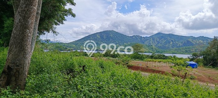 Untuk Dijual Tanah 28000m2 di Labuan Bajo, Manggarai Barat Untuk Dijual Tanah 28000m2 di Labuan Bajo, Manggarai Barat