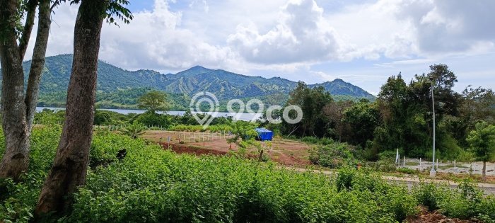 Untuk Dijual Tanah 28000m2 di Labuan Bajo, Manggarai Barat Untuk Dijual Tanah 28000m2 di Labuan Bajo, Manggarai Barat