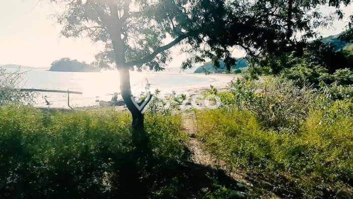 Lahan Dijual Lokasi Strategis di Manggarai Barat dengan Luas 30000m2 Lahan Dijual Lokasi Strategis di Manggarai Barat dengan Luas 30000m2