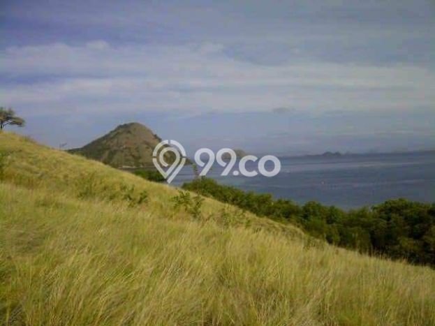 Lahan Dijual Lokasi Strategis di Manggarai Barat dengan Luas 41440m2 Lahan Dijual Lokasi Strategis di Manggarai Barat dengan Luas 41440m2