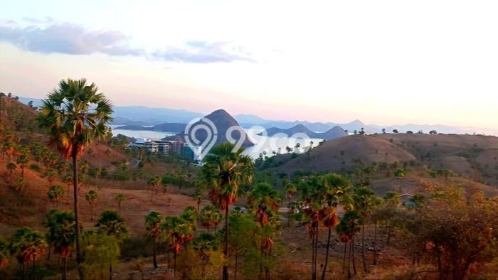 Kavling Tanah untuk Dijual di Labuan Bajo, Manggarai Barat, Luas 3650m2 Kavling Tanah untuk Dijual di Labuan Bajo, Manggarai Barat, Luas 3650m2