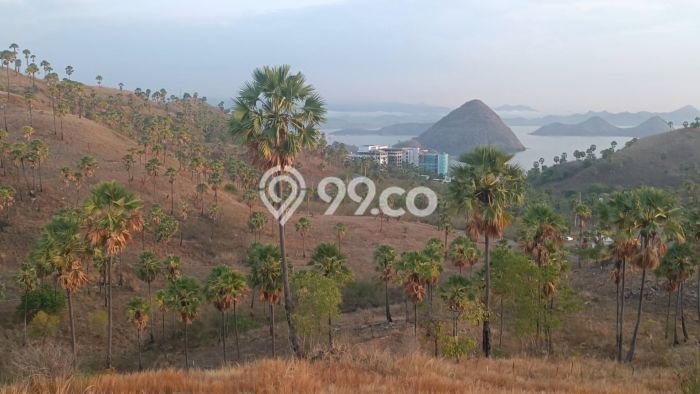 Kavling Tanah untuk Dijual di Labuan Bajo, Manggarai Barat, Luas 3650m2 Kavling Tanah untuk Dijual di Labuan Bajo, Manggarai Barat, Luas 3650m2