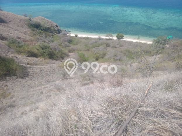 Tanah Siap Bangun Dijual di Manggarai Barat Punya Luas 35000m2 Tanah Siap Bangun Dijual di Manggarai Barat Punya Luas 35000m2