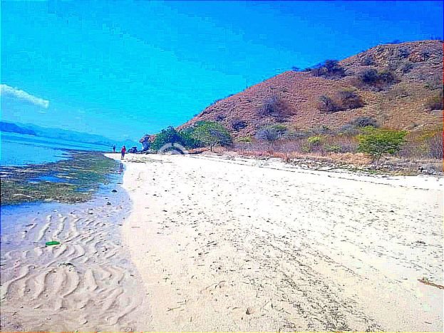 Tanah Siap Bangun Dijual di Manggarai Barat Punya Luas 35000m2 Tanah Siap Bangun Dijual di Manggarai Barat Punya Luas 35000m2