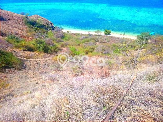 Tanah Siap Bangun Dijual di Manggarai Barat Punya Luas 35000m2 Tanah Siap Bangun Dijual di Manggarai Barat Punya Luas 35000m2
