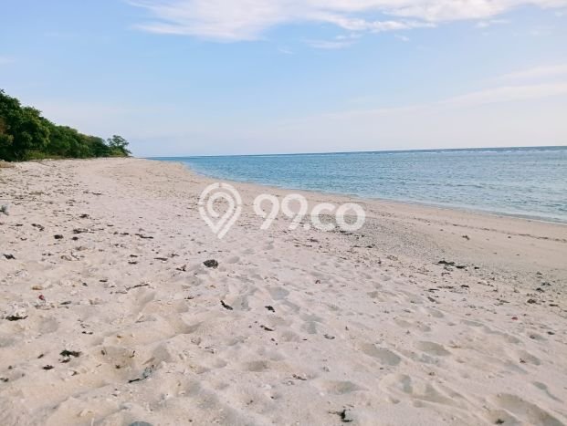 Tanah Siap Bangun Dijual di Manggarai Barat Punya Luas 35000m2 Tanah Siap Bangun Dijual di Manggarai Barat Punya Luas 35000m2