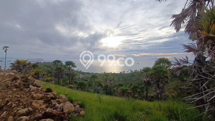 Dijual Tanah Lokasi Labuan Bajo, Manggarai Barat Seluas 29000m2 Dijual Tanah Lokasi Labuan Bajo, Manggarai Barat Seluas 29000m2
