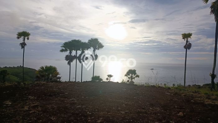 Dijual Tanah Lokasi Labuan Bajo, Manggarai Barat Seluas 29000m2 Dijual Tanah Lokasi Labuan Bajo, Manggarai Barat Seluas 29000m2