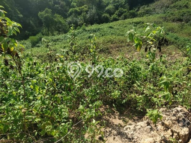 Tanah Dijual Area Strategis di Labuan Bajo Manggarai Barat 16000m2 Tanah Dijual Area Strategis di Labuan Bajo Manggarai Barat 16000m2