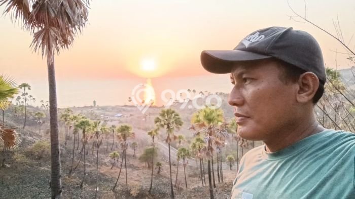 Tanah Siap Bangun Dijual di Manggarai Barat Punya Luas 3600m2 Tanah Siap Bangun Dijual di Manggarai Barat Punya Luas 3600m2
