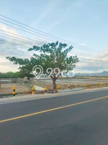 Untuk Dijual Tanah 3715m2 di Labuan Bajo, Manggarai Barat Untuk Dijual Tanah 3715m2 di Labuan Bajo, Manggarai Barat