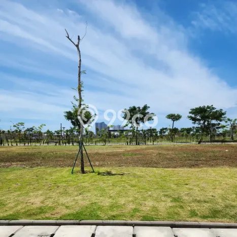 Tanah Dijual Area Strategis di Pantai Indah Kapuk 2 Jakarta Utara 300m2 Tanah Dijual Area Strategis di Pantai Indah Kapuk 2 Jakarta Utara 300m2