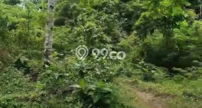Tanah Kavling Dijual di Ciamis dengan Spesifikasi 5345m2 Tanah Kavling Dijual di Ciamis dengan Spesifikasi 5345m2