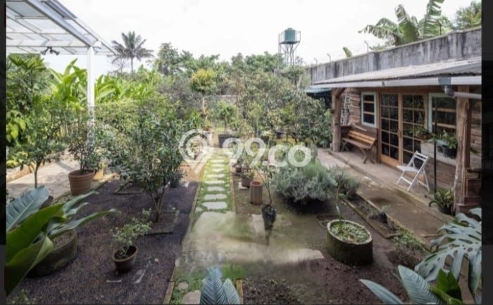 Rumah Mewah LB 650m2 Siap Pakai Desain Elegan di Setiabudi, Bandung Rumah Mewah LB 650m2 Siap Pakai Desain Elegan di Setiabudi, Bandung