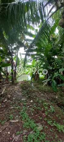Jarang Ada! Tanah di Sukamulya Punya Luas 2954m2 SHM Jarang Ada! Tanah di Sukamulya Punya Luas 2954m2 SHM