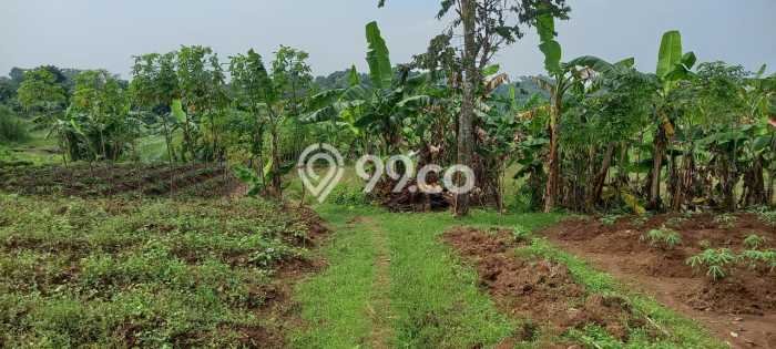Jarang Ada! Tanah di Sukamulya Punya Luas 2954m2 SHM Jarang Ada! Tanah di Sukamulya Punya Luas 2954m2 SHM