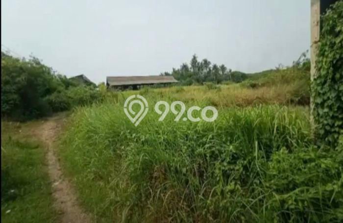 Dijual! Pabrik di Serang Timur Serang LT 60000m2 / LB 18000m2 Kawasan Bisnis Dijual! Pabrik di Serang Timur Serang LT 60000m2 / LB 18000m2 Kawasan Bisnis