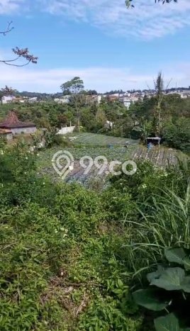Rumah Elit Modern Tanpa Renovasi di Lembang Bandung Rumah Elit Modern Tanpa Renovasi di Lembang Bandung