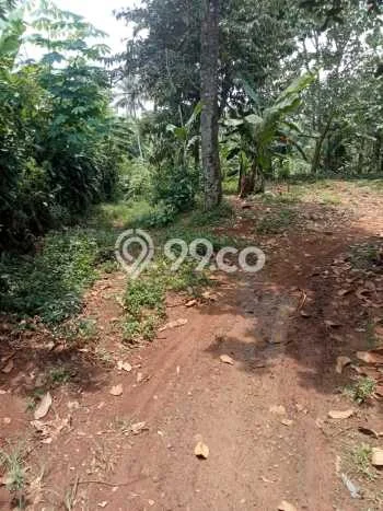 Kavling Tanah Dijual di Cariu Bogor Spesifikasi 3040m2 Kavling Tanah Dijual di Cariu Bogor Spesifikasi 3040m2