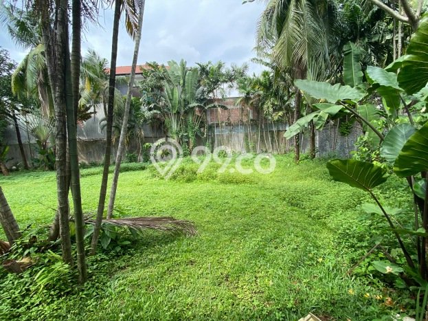 Hunian Elit LB 700m2 Siap Pakai Desain Elegan di Kemang, Jakarta Selatan Hunian Elit LB 700m2 Siap Pakai Desain Elegan di Kemang, Jakarta Selatan