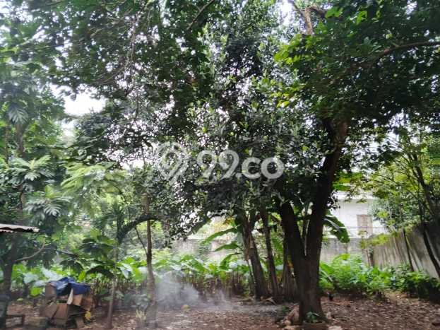 Tanah Kavling Dijual di Bintaro, Tangerang Selatan dengan Luas Tanah 1150m2 Tanah Kavling Dijual di Bintaro, Tangerang Selatan dengan Luas Tanah 1150m2