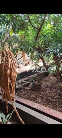 Jual Rumah Luas Megah Dengan View Eksklusif di Bintaro, Tangerang Selatan Jual Rumah Luas Megah Dengan View Eksklusif di Bintaro, Tangerang Selatan