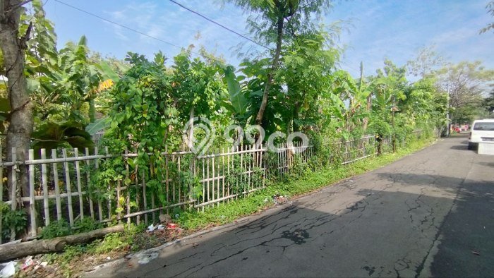 Kavling Tanah di Jaten Dijual Luas 972m2 Legalitas SHM Kavling Tanah di Jaten Dijual Luas 972m2 Legalitas SHM